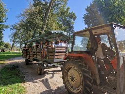 Rok szkolny 2023-2024 - 10 - Wycieczka do Kurozwęk i Pacanowa